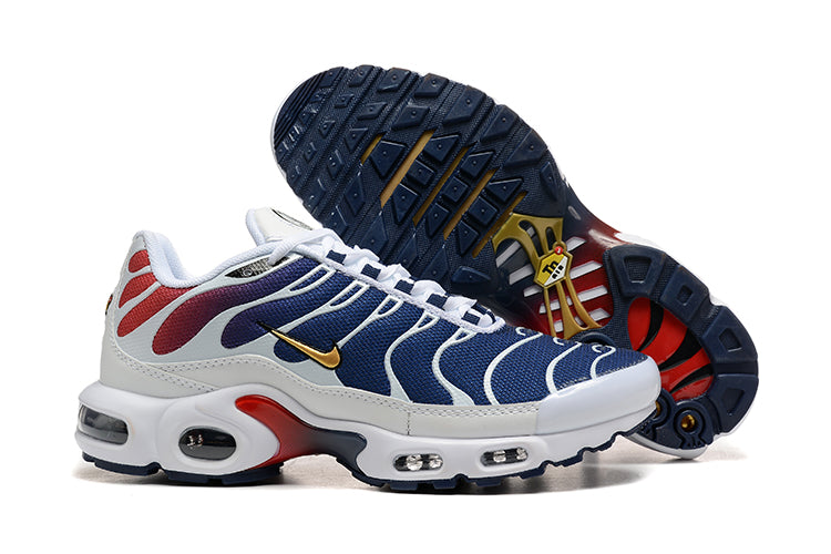 Nike TN - PSG